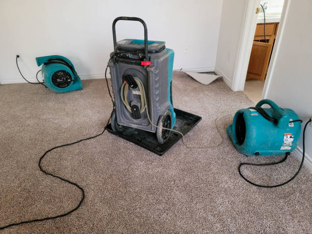 Best Carpet water damage restoration  in Alachua, FL