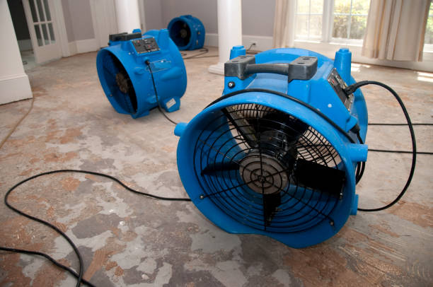  Alachua, FL Water damage restoration Pros