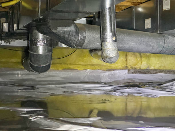 Best Basement water damage restoration  in Alachua, FL
