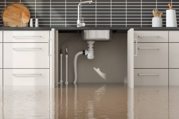 Best 24-hour water damage restoration  in Alachua, FL