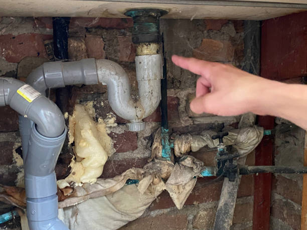 Best Fire Damage Restoration  in Alachua, FL