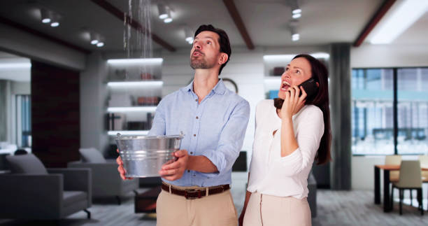  Alachua, FL Water damage restoration Pros